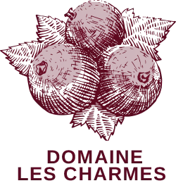 logo Domaine Les Charmes (1)