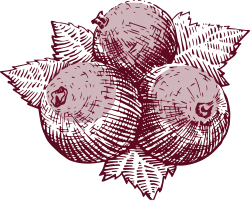 logo Domaine Les Charmes
