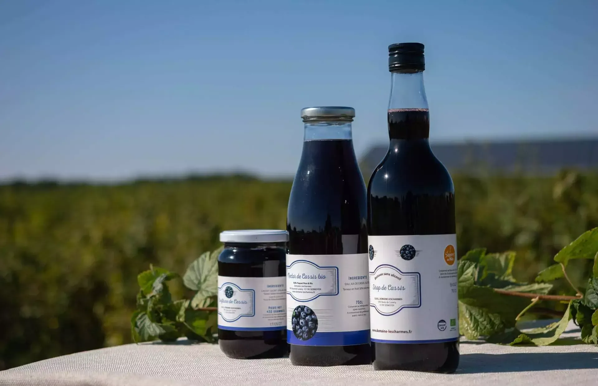 Produits artisanaux de cassis